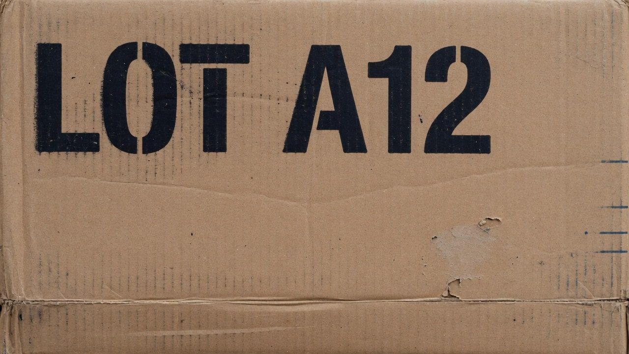 Batch Lot Modification — original image